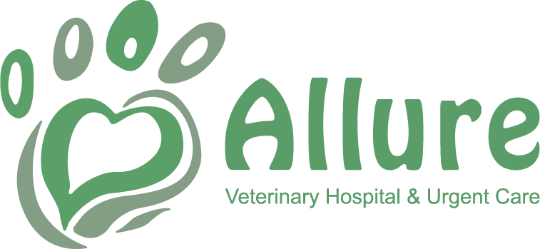 Allure Veterinary Rehabilitation
