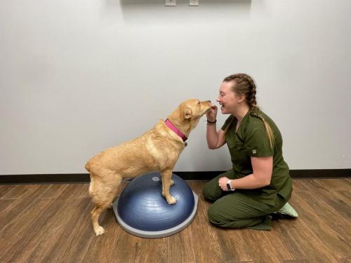 exercise_dani-scaled