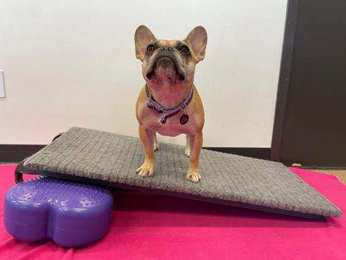 exercise_incline-scaled